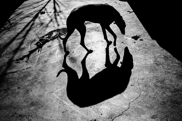 ©DAVID ARRIBAS| "Cicatrices", premio de fotoperiodismo DateCuenta en 2018. En esta ocasión abrimos la beca a cualquier género fotográfico y te acompañamos en la realización, producción y difusión del mismo.