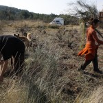 Recuperando la tierra