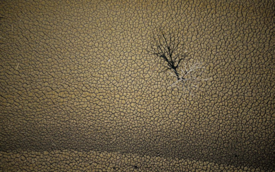 Exalumnos: Marc Sanyé, fotografiar la sequía